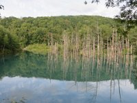 img (47)